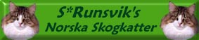 S*Runsvik