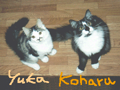 Koharu & Yuka